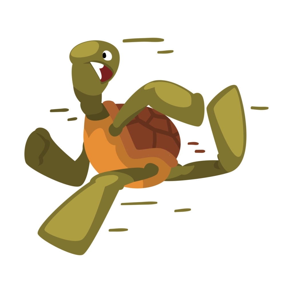 turtle tasks